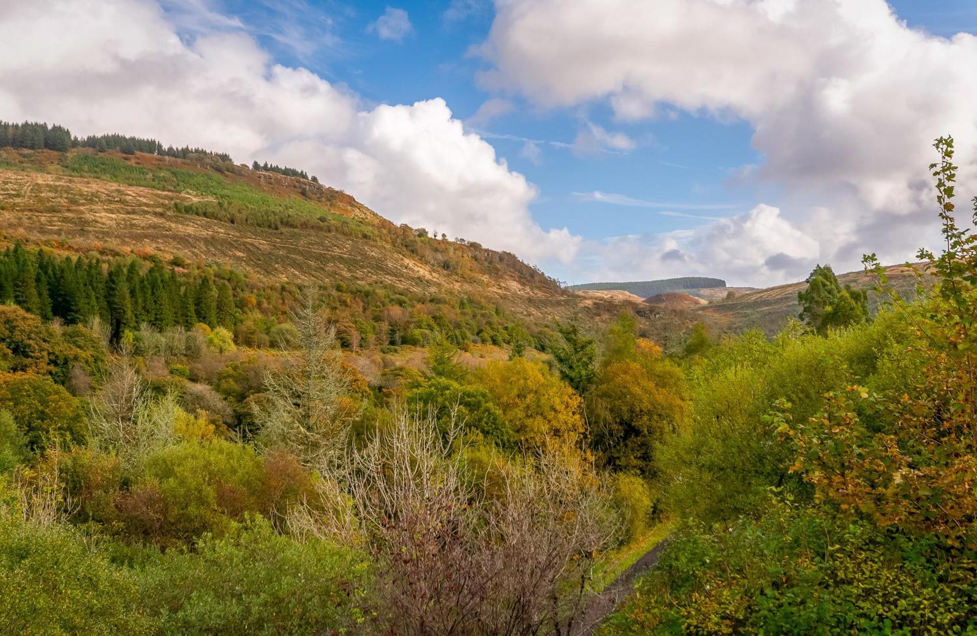 Apartment The Nest Superb In Afan Forest Bike Park By Staystaycations