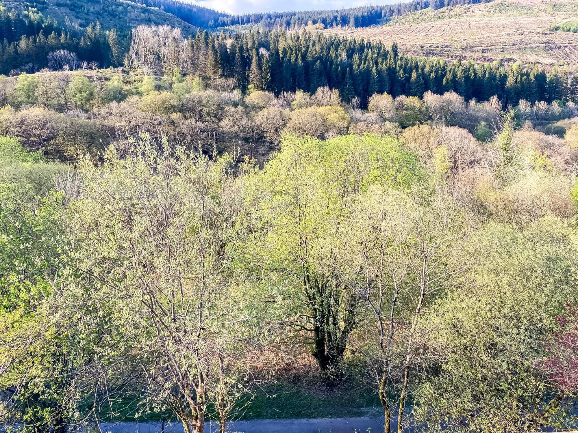 The Nest Superb In Afan Forest Bike Park By Staystaycations Apartment *