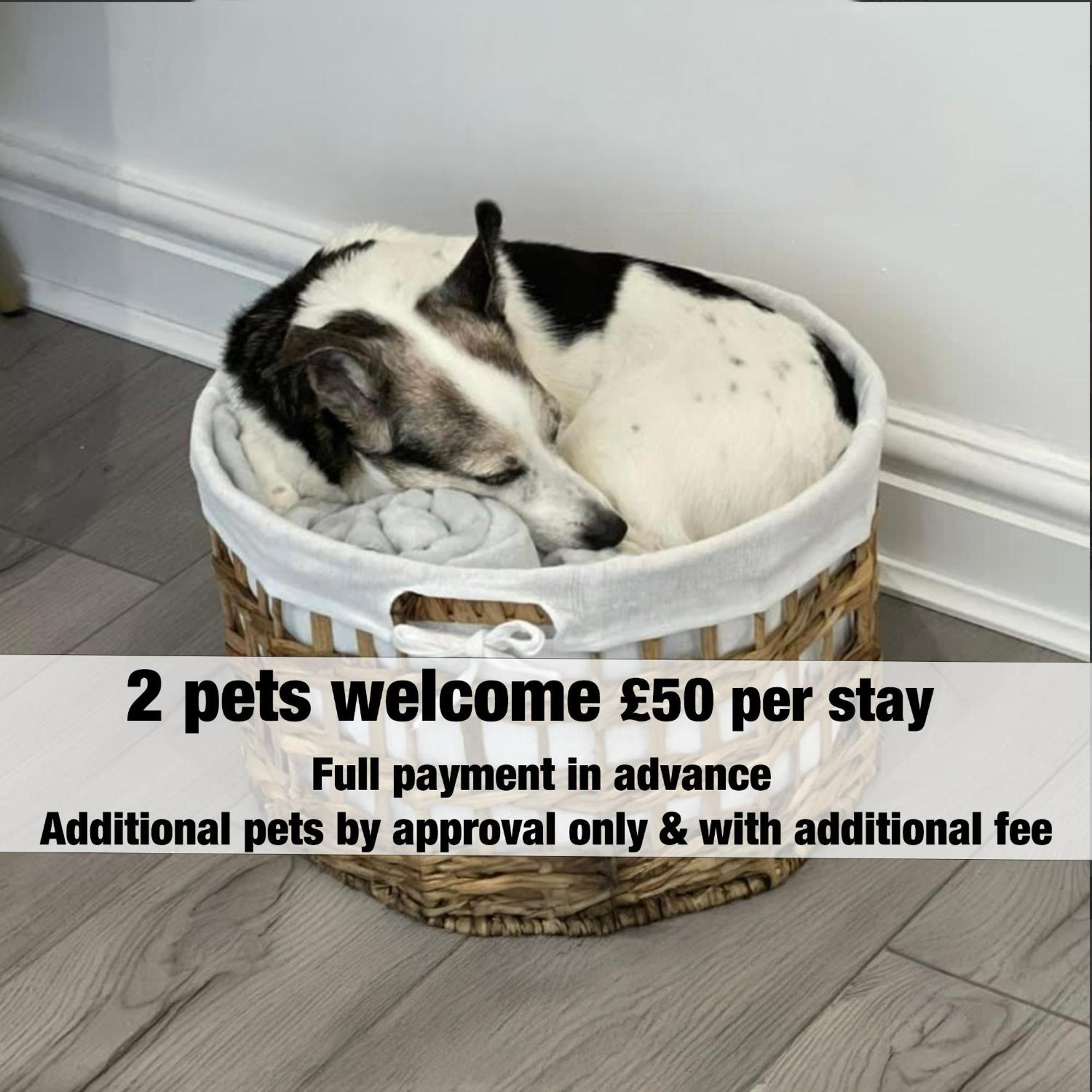Apartment The Nest Superb In Afan Forest Bike Park By Staystaycations
